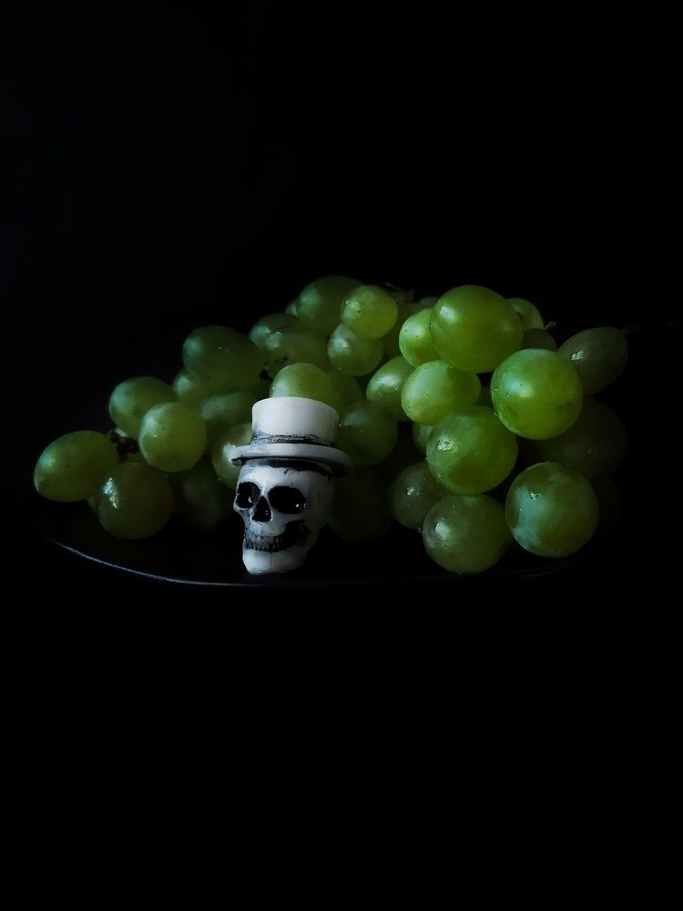 Фотография автора JELENA VASIC