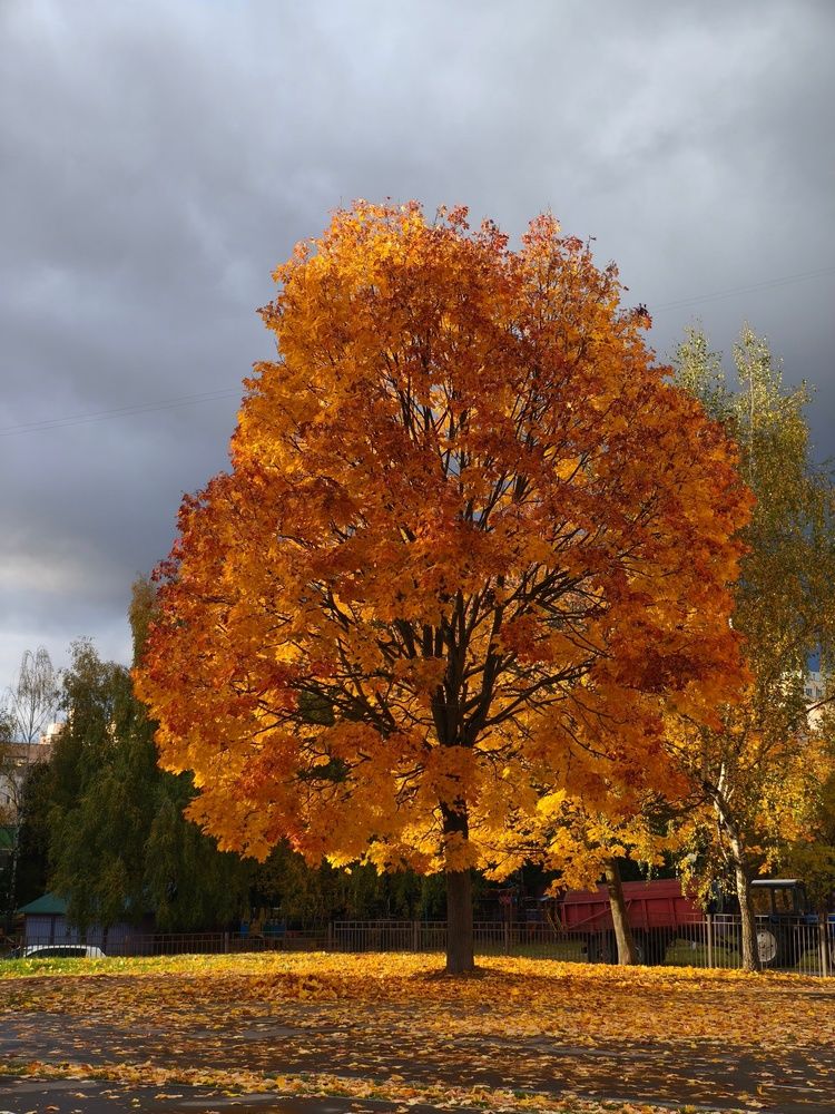 Photograph by Владимир Лобанов
