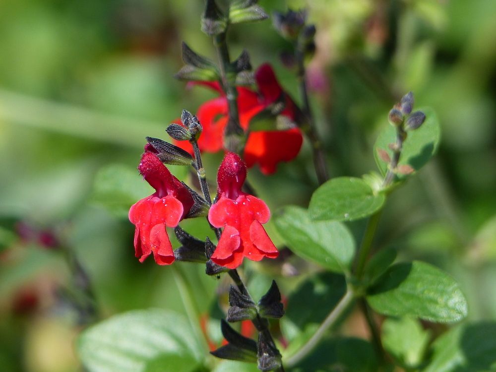 Photograph by Isabella Northrop