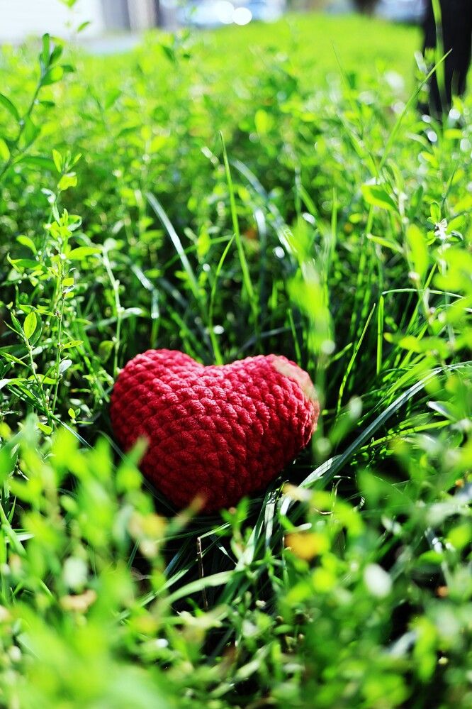 Photograph by Марина А-Б