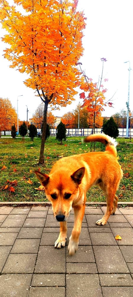 Photograph by Надежда Солдатченкова