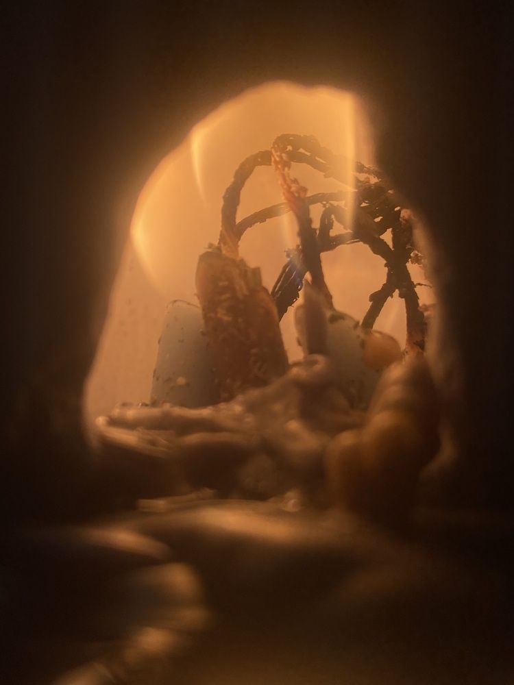 Photograph by Елена Мусина