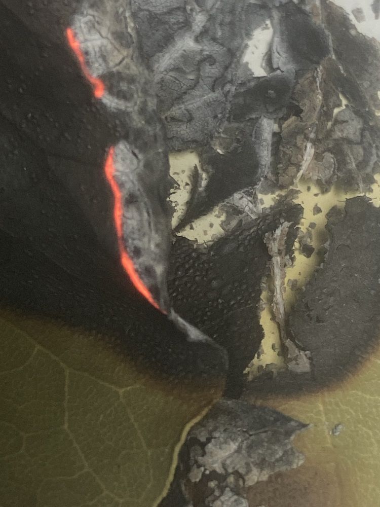 Photograph by Елена Мусина