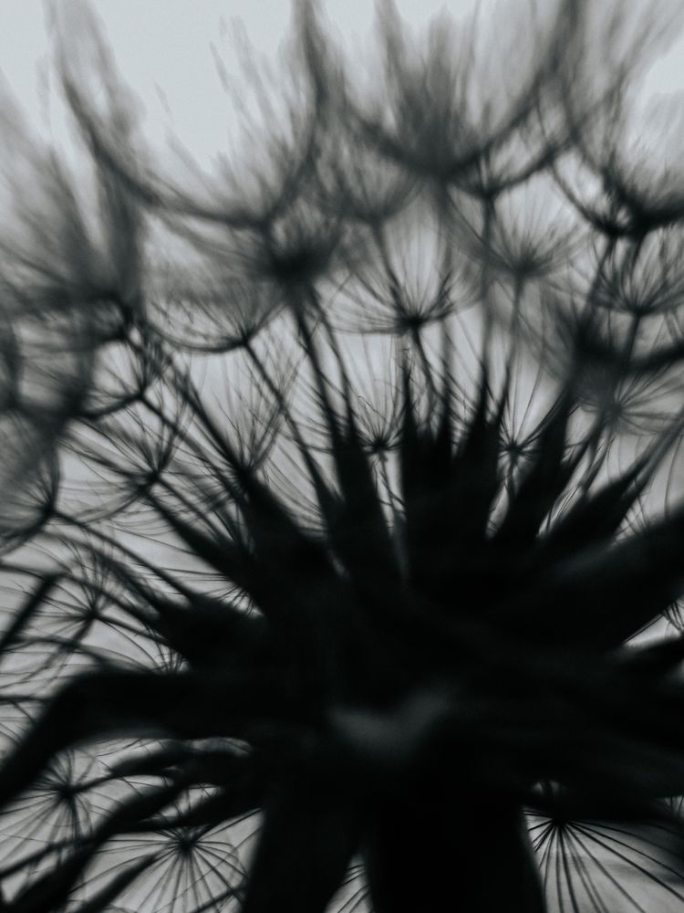 Photograph by Александра