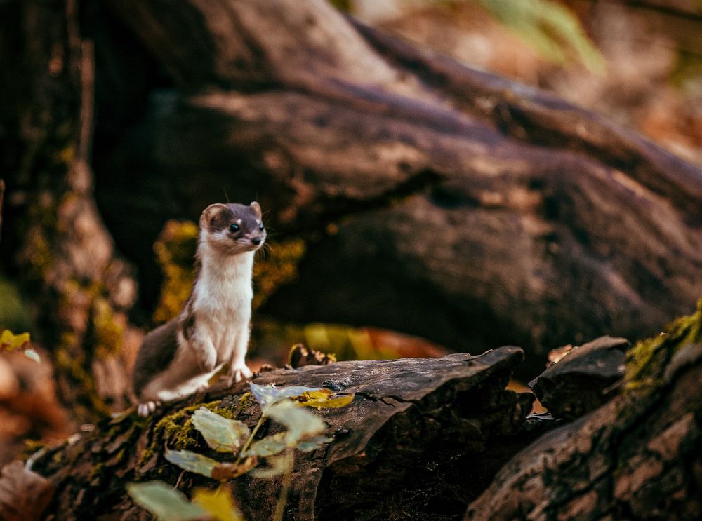 Photograph by Александр Хитров