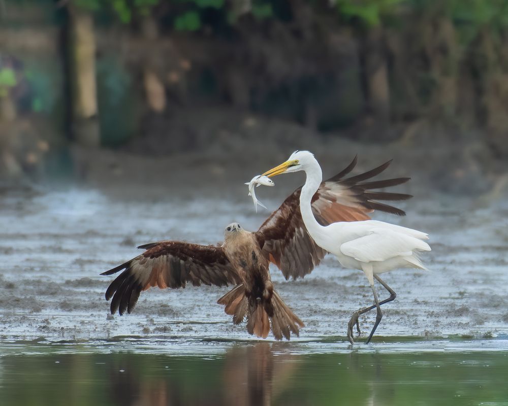 Фотография автора Anandhu M