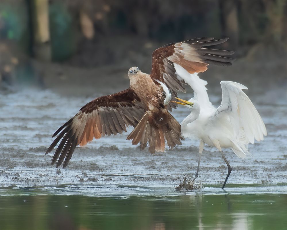 Фотография автора Anandhu M