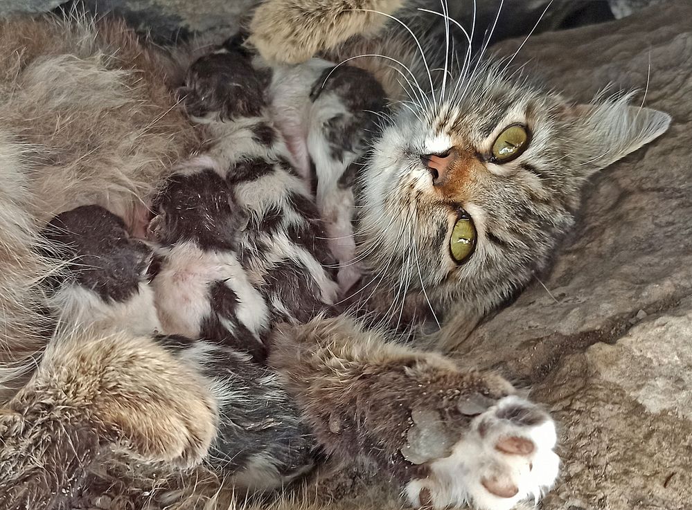 Photograph by Евгений Самулев