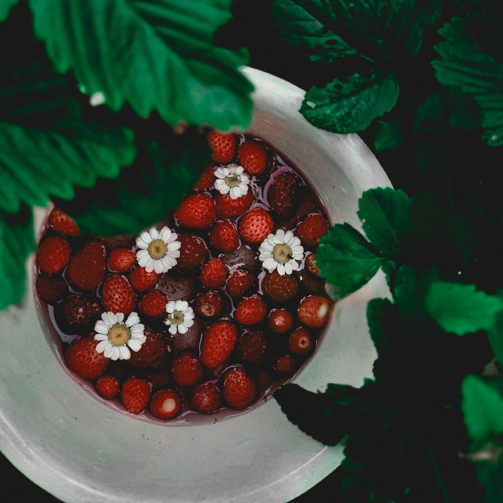 Photograph by Юлия Чернышёва