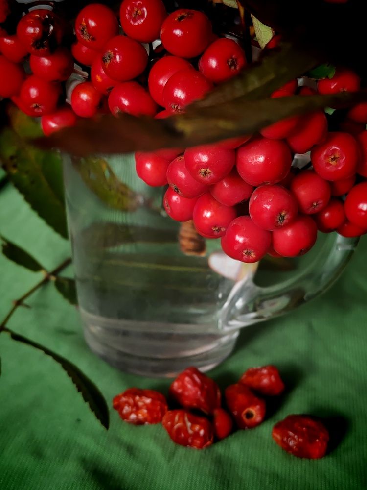 Photograph by Ольга Рыбина