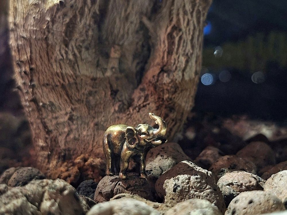 \"Хатхи объявил водяное перемирие\"