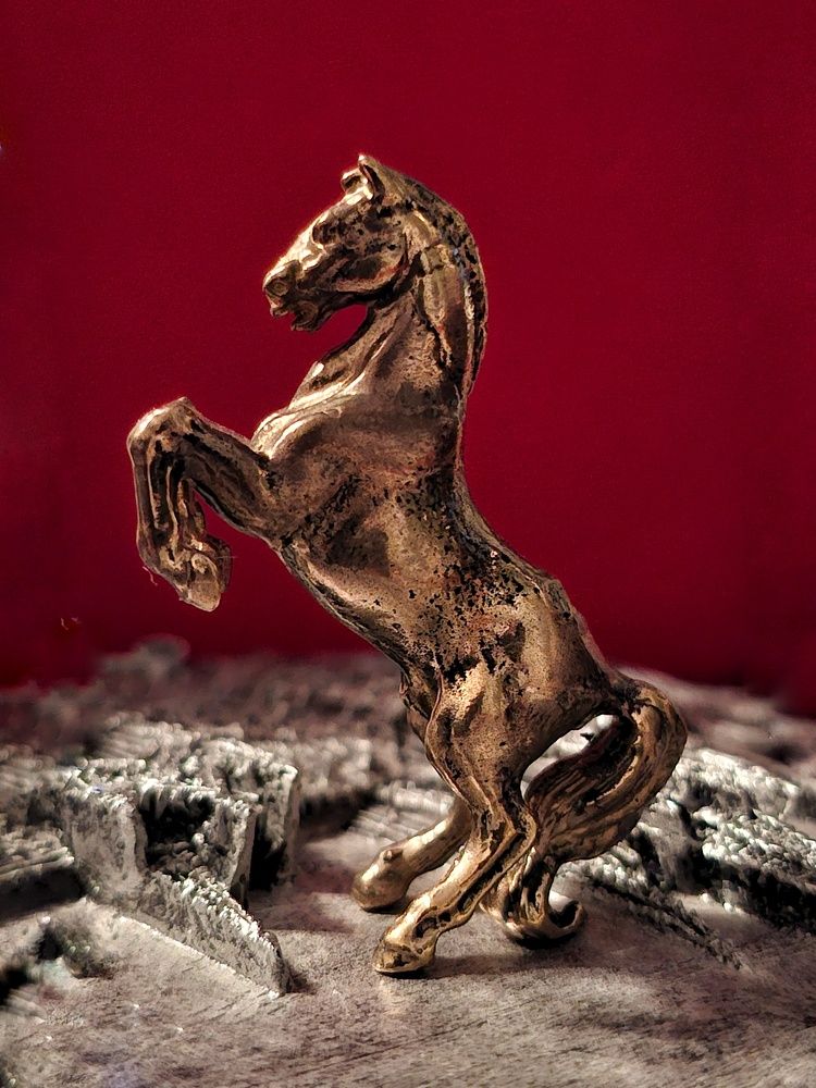 Photograph by Бакшеева Марина