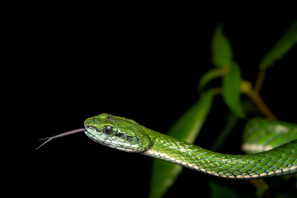 Photograph by Harsha Devalla