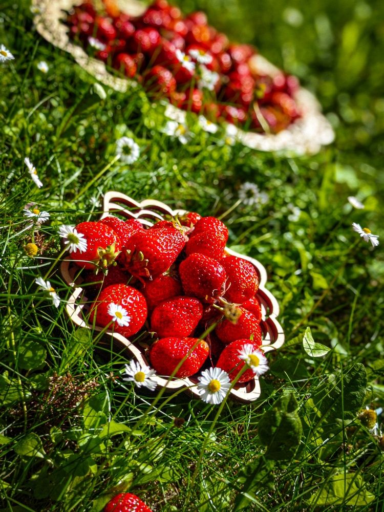 Photograph by Татьяна Соколовская