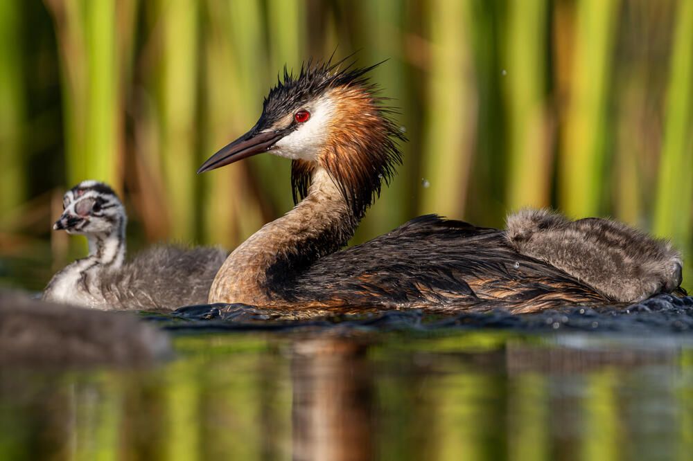 Photograph by Белов Александр