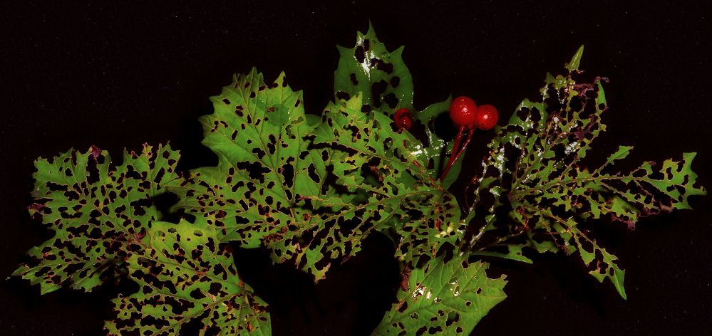 Photograph by Владимир Владимир