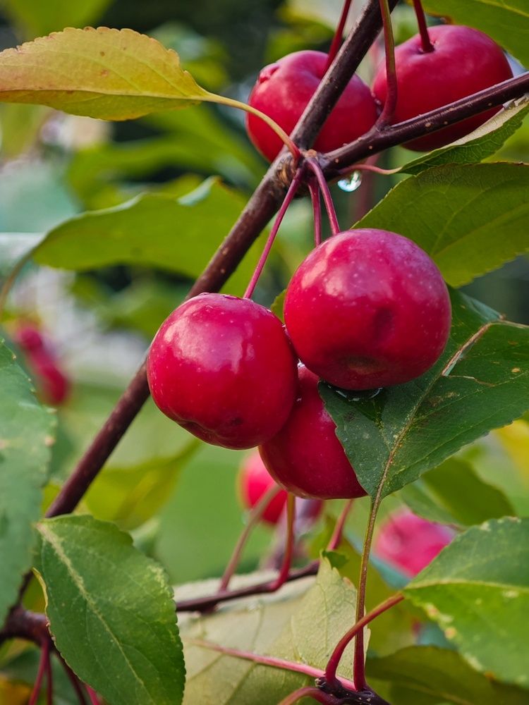 Photograph by Татьяна Соколовская