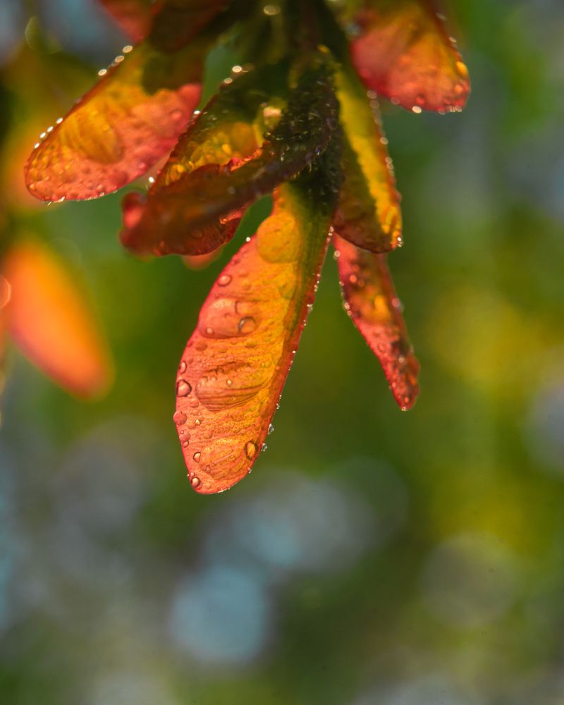 Photograph by Артём Гуцалюк