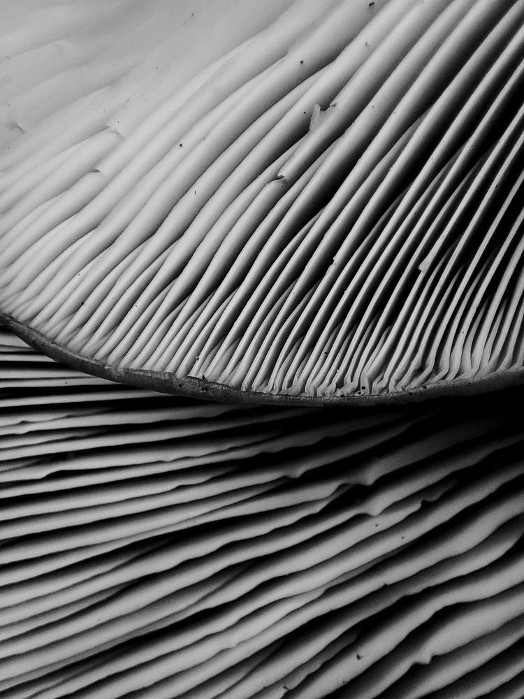 Photograph by Ирина Строкова