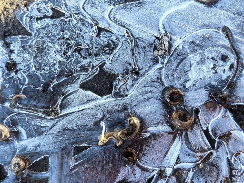 Photograph by Елена