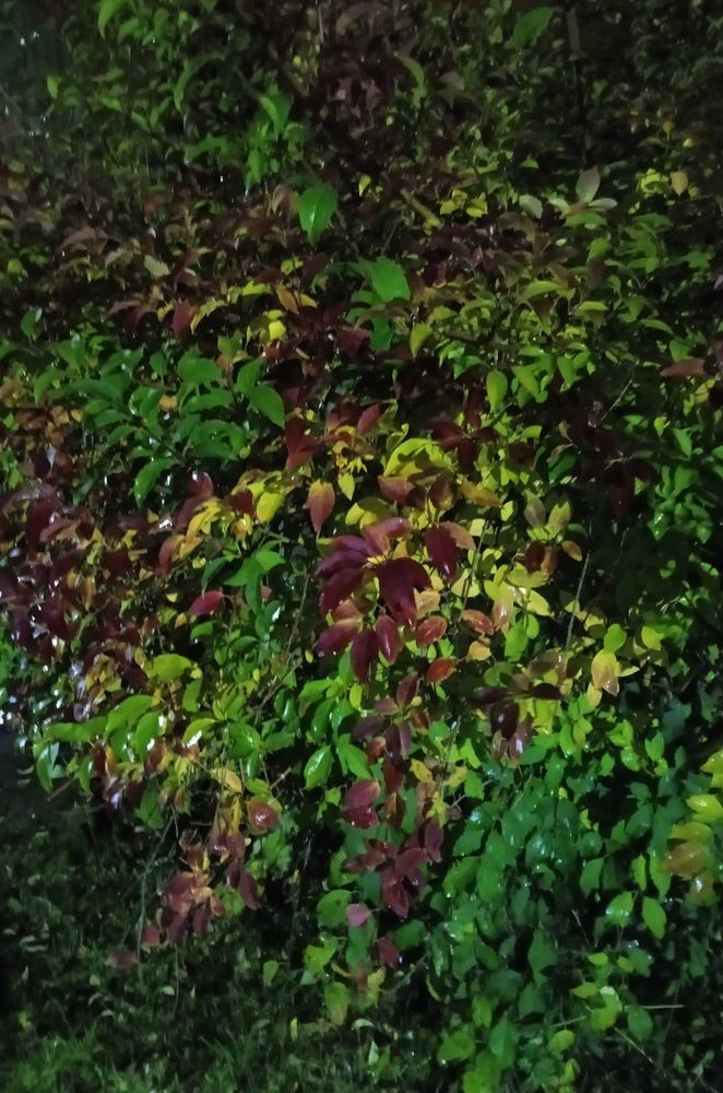 Photograph by Светлана