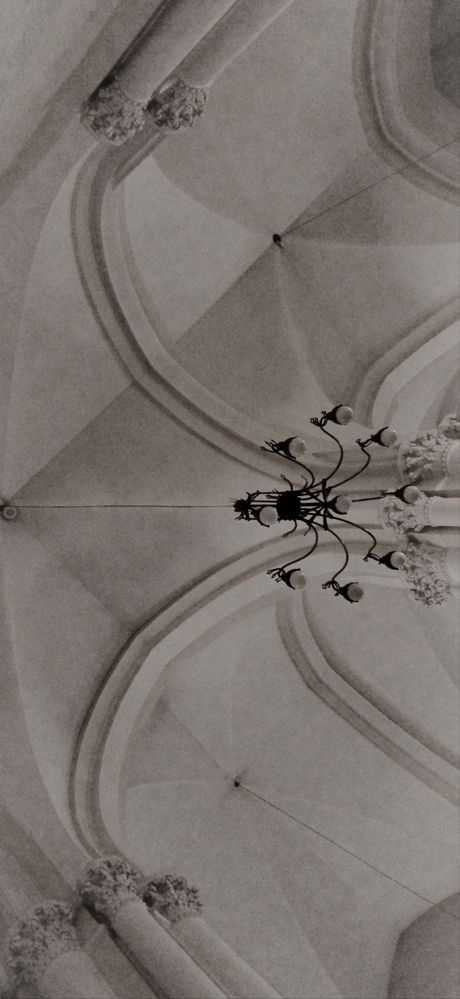 Photograph by Ольга Заповедная