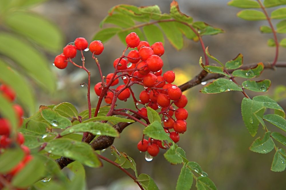 Photograph by Борис Чернов