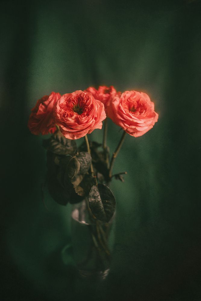 Photograph by Вика Фолина