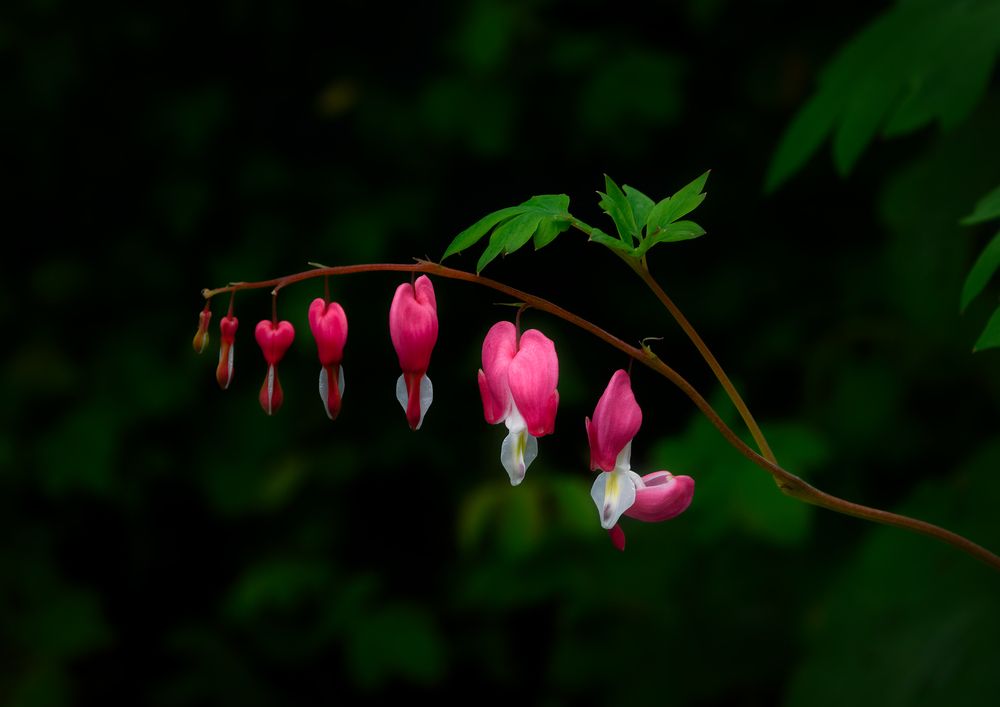 Photograph by Владимир Кваша
