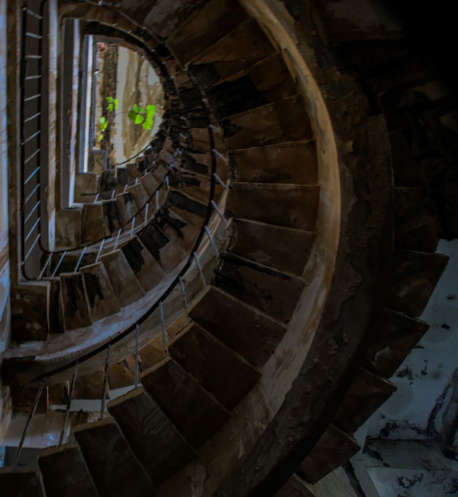 Photograph by Елена Данченко