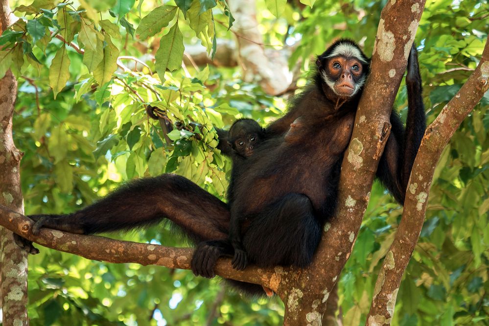 Photograph by Valdir Hobus