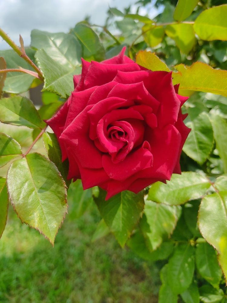 Photograph by Наталья Билай