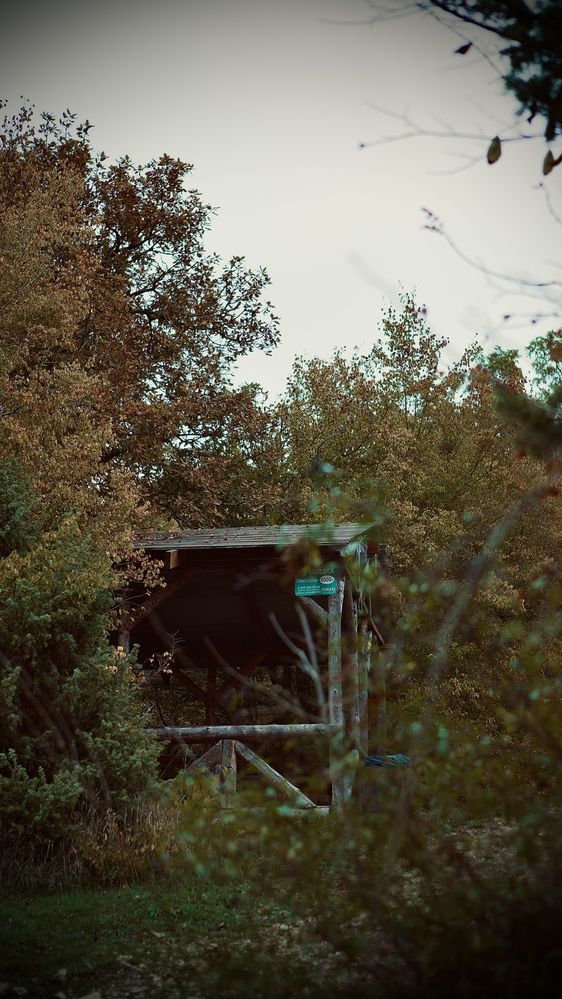 Photograph by Алёна Шелепова