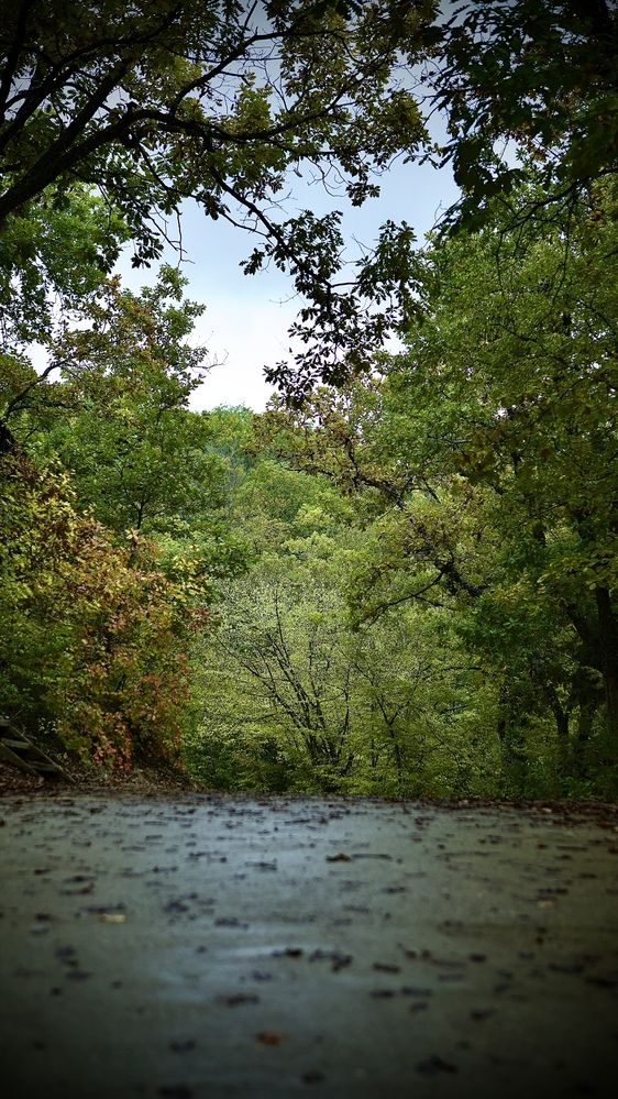 Photograph by Алёна Шелепова