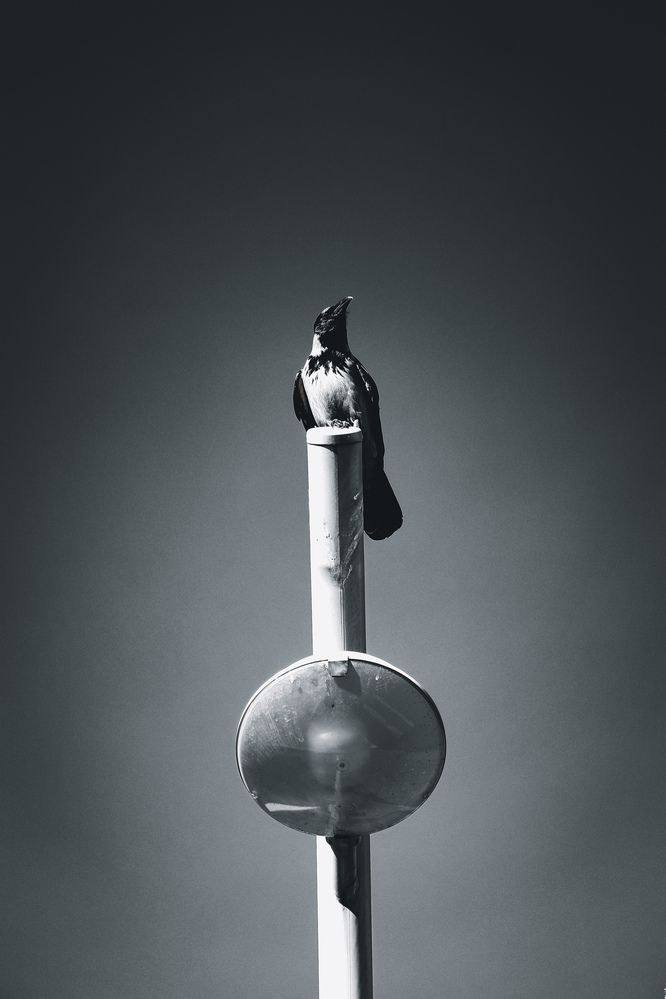 Photograph by Ashkan Sa