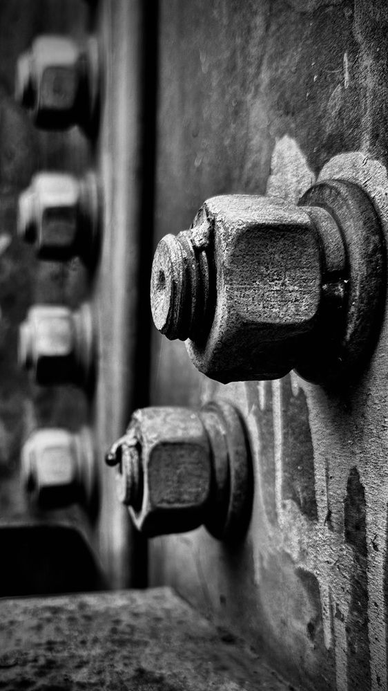 Photograph by Алёна Шелепова