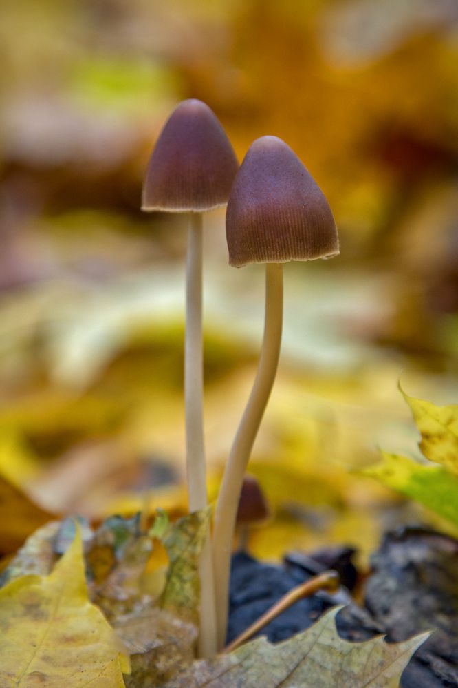 Photograph by Алексеев Сергей