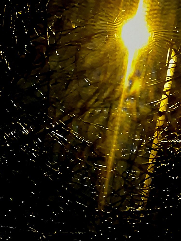 Photograph by Елена Аникеева