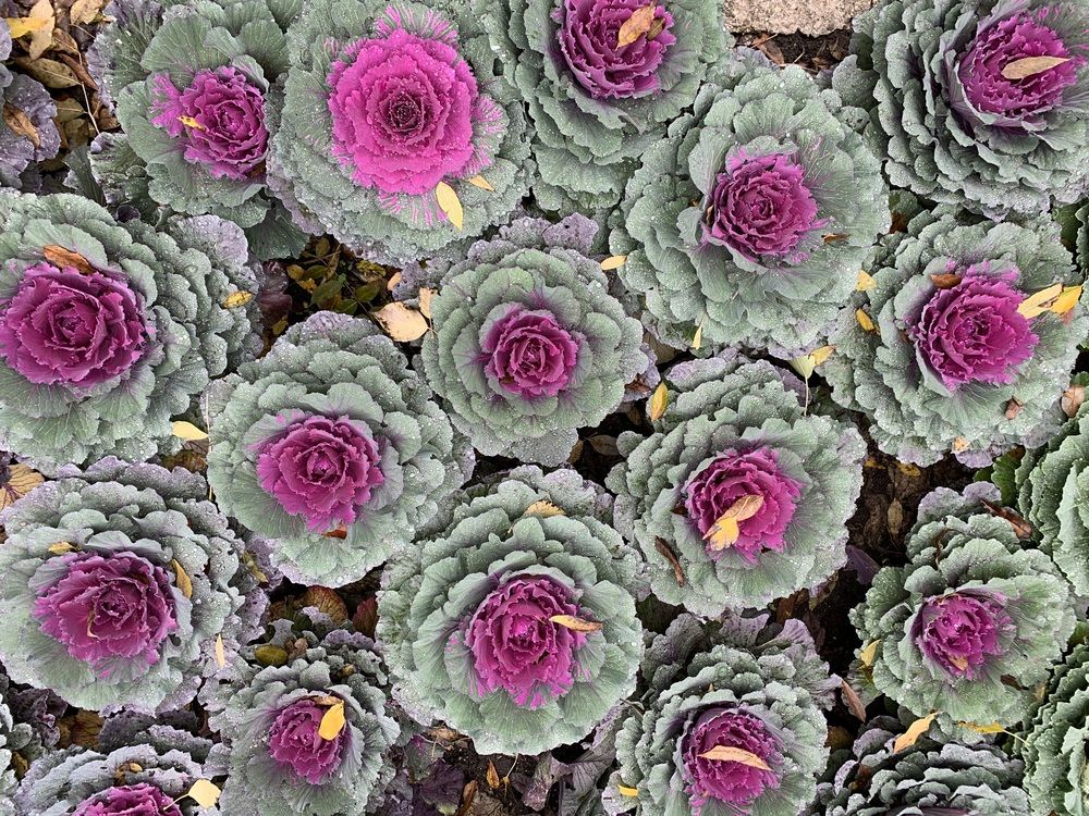 Photograph by Игорь Ребров