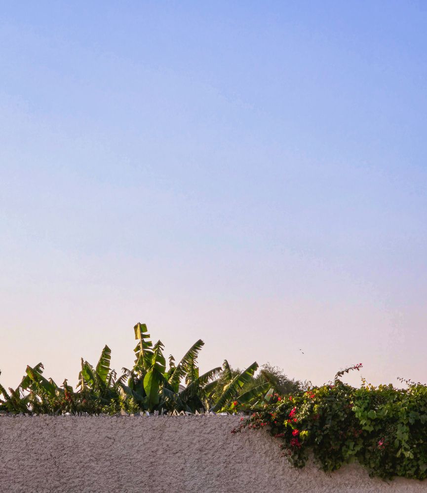 Photograph by Mohammad Hossein Jafari