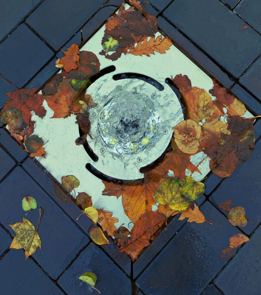 Photograph by jelena konickaja