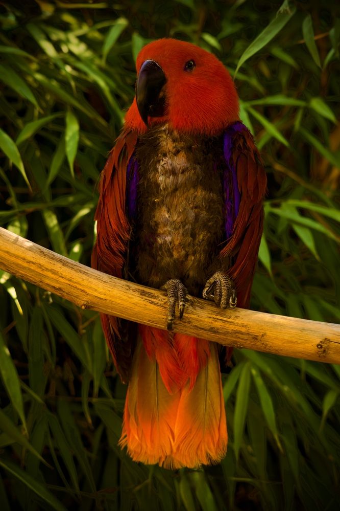 Photograph by Alena Tureva