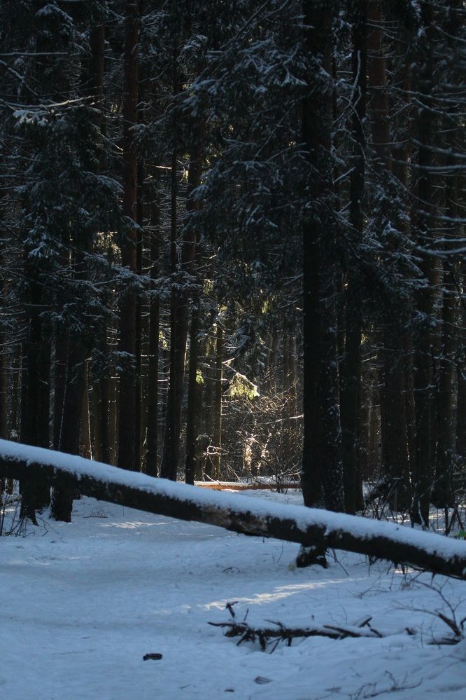 Photograph by Татьяна