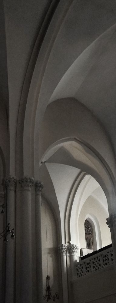 Photograph by Ольга Заповедная