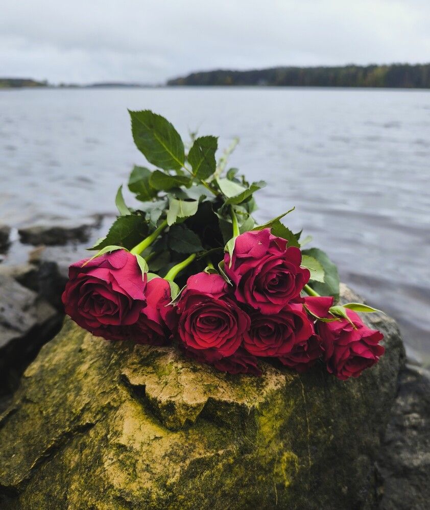 Photograph by Галина Бессуднова