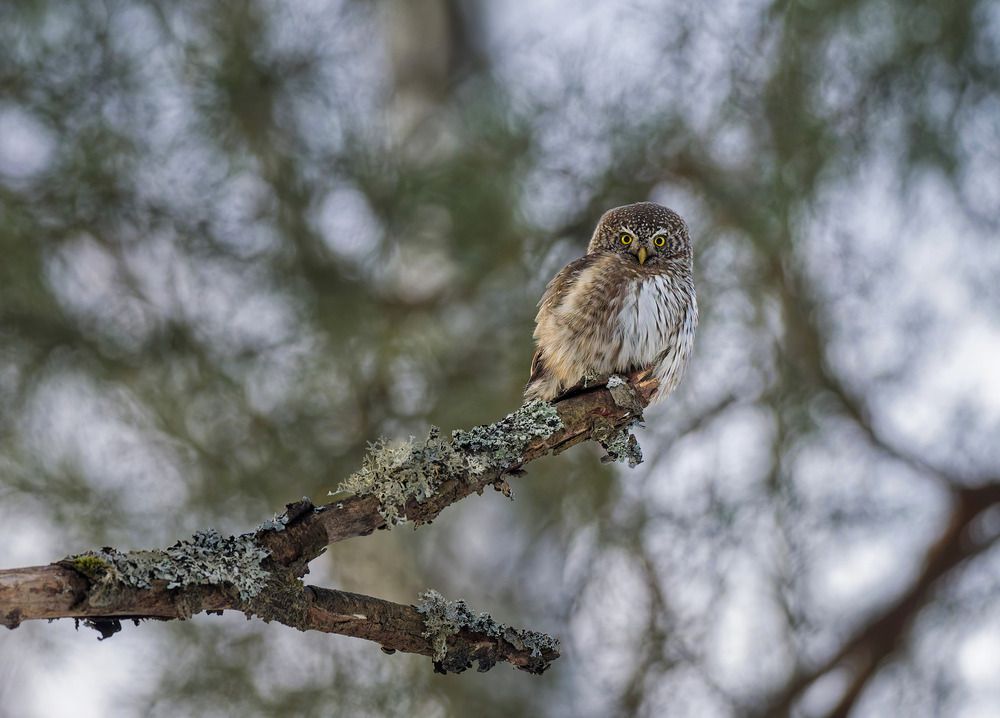 Photograph by Jørgen Hovde