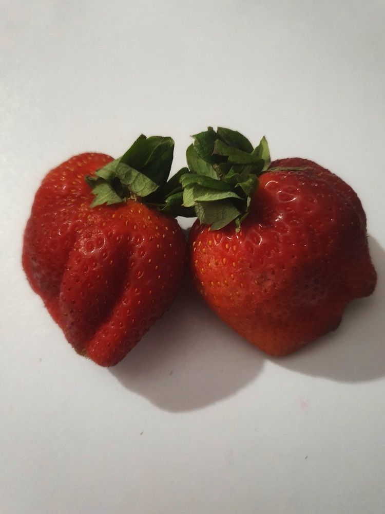 Фотография автора Марина