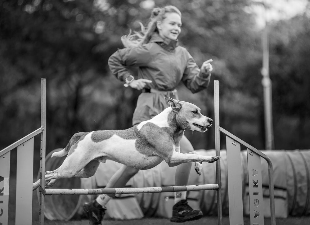 Photograph by Юлия Григорьева