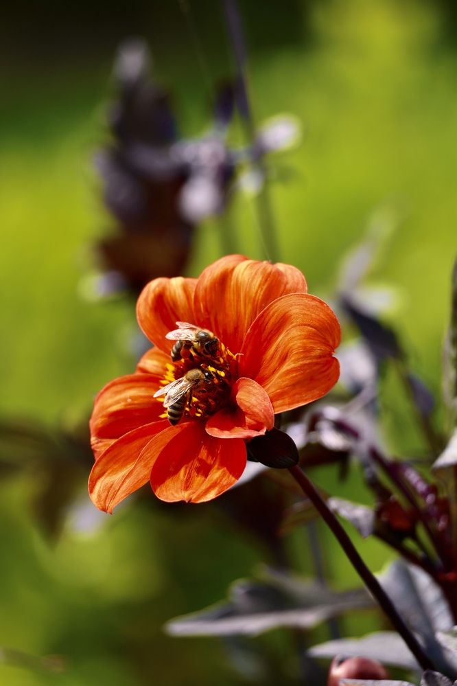 Photograph by Alena Tureva