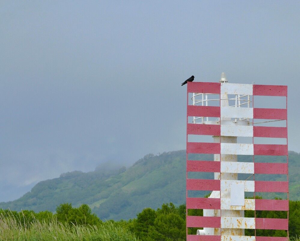 Photograph by Ения Семина